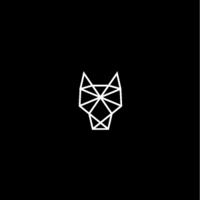 In the Company of Huskies