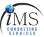 IMS Consulting Services