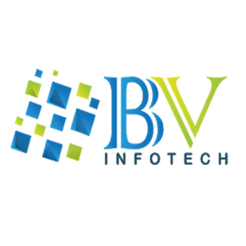 BVINFOTECH PVT LTD