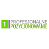Profesjonalne Pozycjonowanie