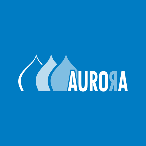Aurora, Russian IT & SEO Company