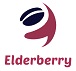 Elderberry Tech