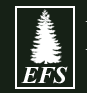 Evergreen Financial Services LLC.